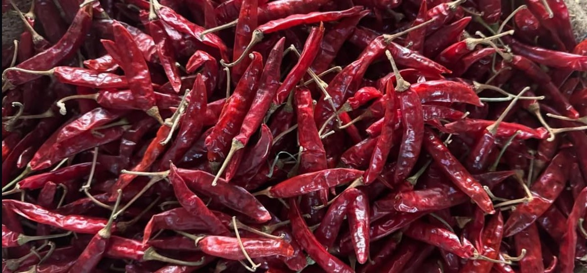 Red chilli
